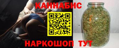 крисы Будённовск