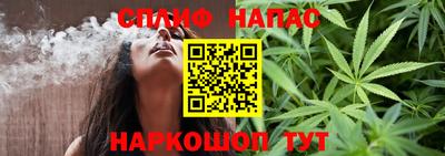 крисы Будённовск
