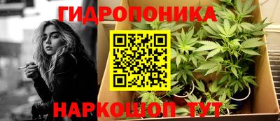 крисы Будённовск