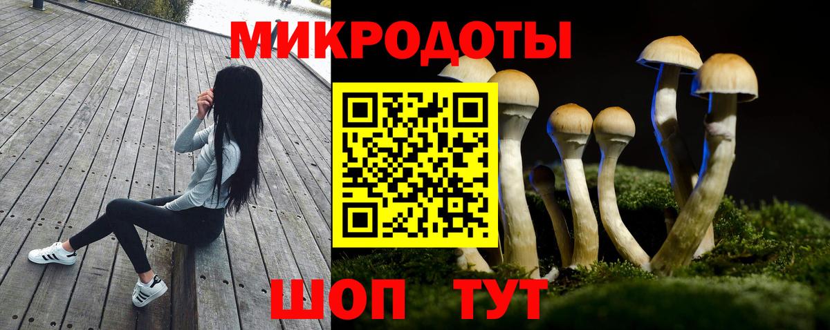 Галлюциногенные грибы MAGIC MUSHROOMS Черкесск